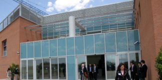 Mal di schiena cronico, al via trapianto italiano di cellule staminali