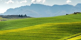 Bertalot (Reale Mutua) “In agricoltura rischi sottovalutati”