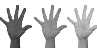 Cultura pace e diritti umani, dalla Regione Emilia Romagna 180 mila euro