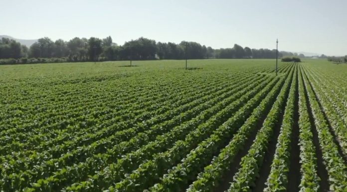 Il rilancio dell’Italia passa dalle filiere integrate