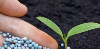 Imprese del comparto fertilizzanti investono nella sostenibilità