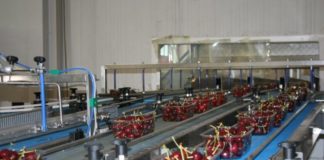 Agrintesa, qualità e investimenti per la ciliegia di Faenza