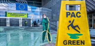 Pac, Greenpeace colora di verde l’ingresso del Parlamento europeo