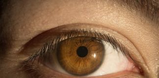 In un terzo di millimetro l’innovazione contro il glaucoma