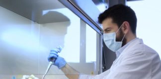 Un passo avanti per la creazione di un modello artificiale di pancreas