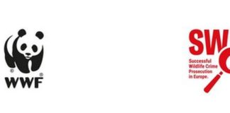 Bracconaggio, entra nel vivo il progetto Life Swipe
