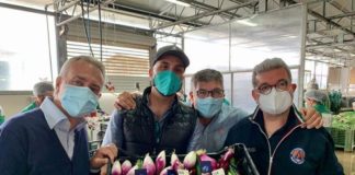 “Cipolla Tour”, Spirlì “Prodotto simbolo della Calabria”