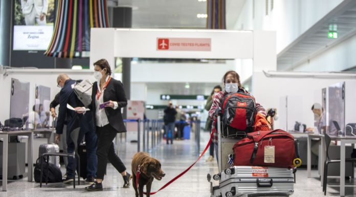 Covid, Commissione UE: no test di viaggio e quarantena per i vaccinati