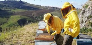 La cultura del dono ad Agrigento e Trapani