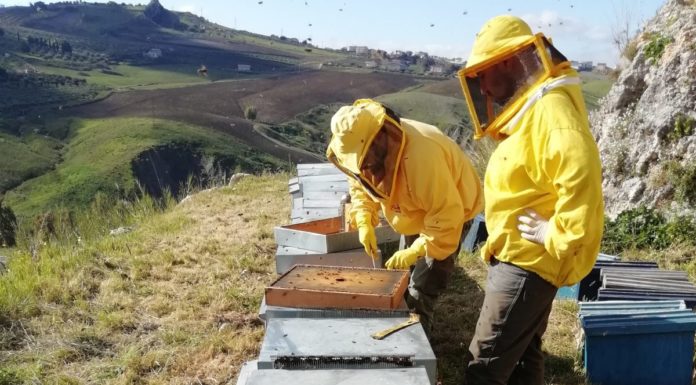 La cultura del dono ad Agrigento e Trapani