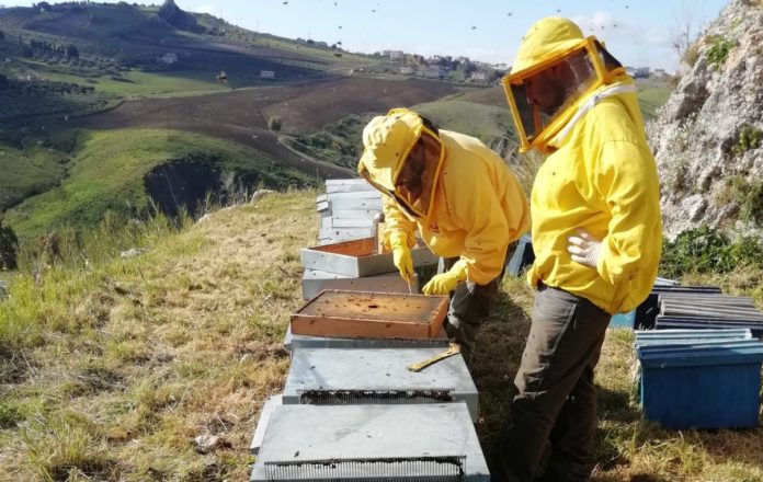 Fondazione Agrigento Trapani