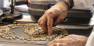 Caffè Borbone, 75 nuove assunzioni durante la pandemia