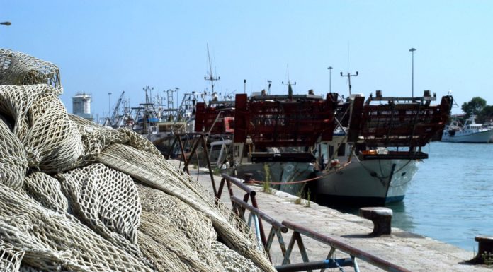 Pesca, Lega chiede interventi urgenti per settore in ginocchio
