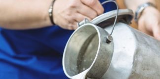 World Milk Day, dal latte buona parte dei nutrimenti per la salute