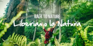 Centri di recupero degli animali selvatici ospedali della biodiversità