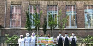 Piantati da Arbolia 11mila alberi, nuovi progetti in 20 comuni italiani