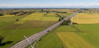 Terna lancia progetto di riforestazione per infrastrutture verdi