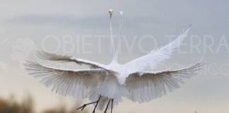 Al via la 13^ edizione di “Obiettivo Terra”