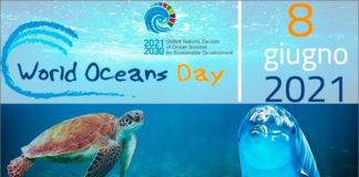 Giornata Oceani, da Enea nuovo modello climatico per il Mediterraneo