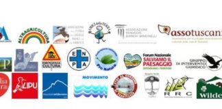 Rinnovabili, Associazioni ambientaliste al Parlamento “No al Far West”