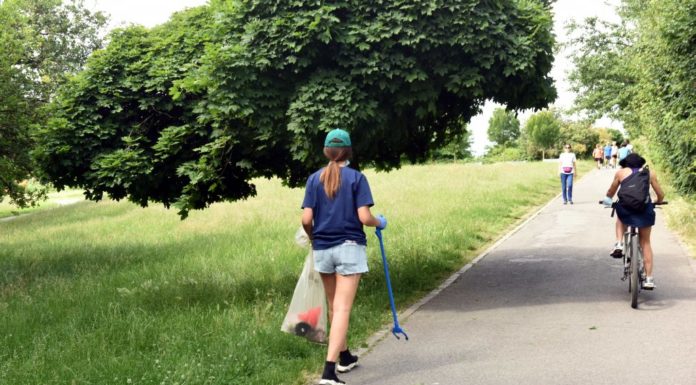 Transizione ecologica, 12 mln da Fondazione Cariplo-Regione Lombardia