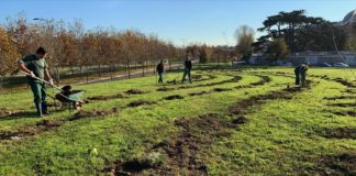 Gruppo Cap con Forestami verso l’obiettivo di Carbon Neutrality