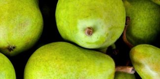 In Emilia Romagna al via programma di rilancio della pera Igp