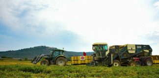 Sardegna, entro giugno 80 mln di pagamenti alle aziende agricole