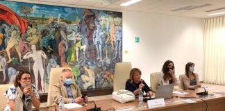 Trasporti, progetto da 100 milioni per area metropolitana Reggio