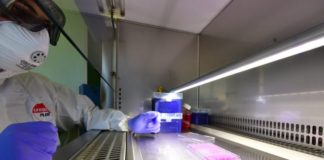Covid, 1.325 nuovi casi ma guariti oltre quota 4 milioni