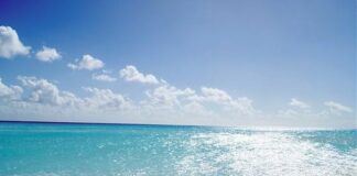 Woa, gli esperti “La salute degli oceani non migliora”