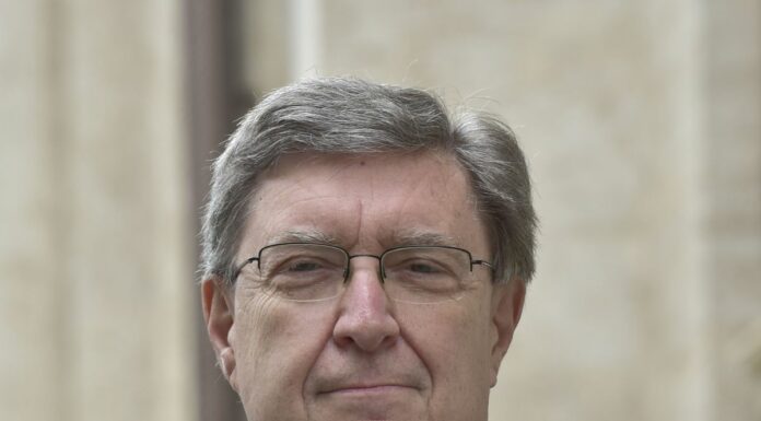 Giovannini “Addio alle auto a benzina e diesel entro il 2040”