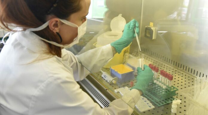 Covid, in Italia la variante Delta in crescita al 16,8%