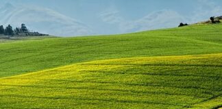 Pac, Giansanti “Testo migliorato, ma ci saremmo aspettati di più”