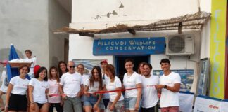 A Filicudi un pronto soccorso per le tartarughe marine