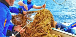 I fondali della Sicilia liberati da due reti fantasma