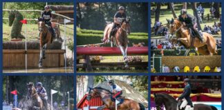 Scelti azzurri equitazione per Tokyo, Di Paola “Daremo il massimo”