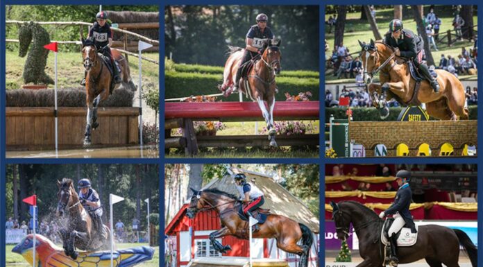 Scelti azzurri equitazione per Tokyo, Di Paola “Daremo il massimo”