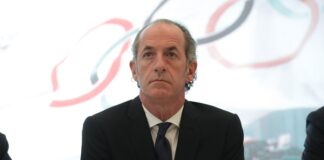 Veneto, Zaia dichiara stato crisi per grandinate nel trevigiano