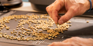 Napoli, nasce l’accademia del caffè