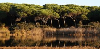 Allianz, video-racconto su Oasi di San Felice