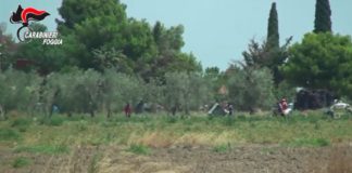 Blitz contro il Caporalato a Foggia e Campobasso