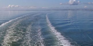 Covid, Donato “Per traghetti isole regole uguali agli aerei”