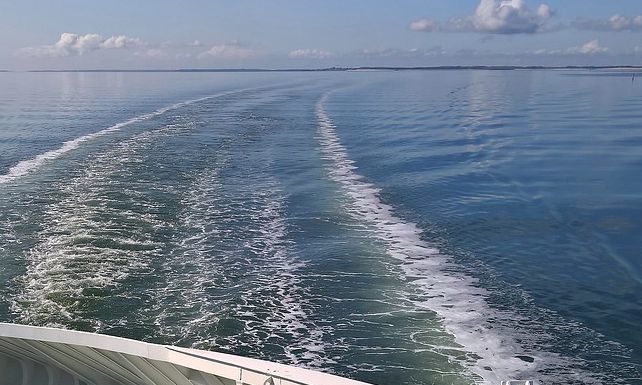 Covid, Donato “Per traghetti isole regole uguali agli aerei”