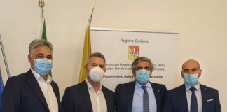 Olio Nocellara dell’Etna, prosegue l’iter per riconoscimento della Dop