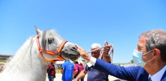 Sport equestri, ad Ambelia aperta la “Fiera mediterranea del cavallo”