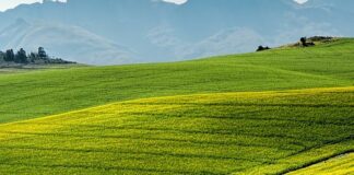 Toscana, Saccardi “Trasferire innovazione al comparto agricolo”