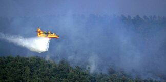 Conclusi corsi anticendio boschivo