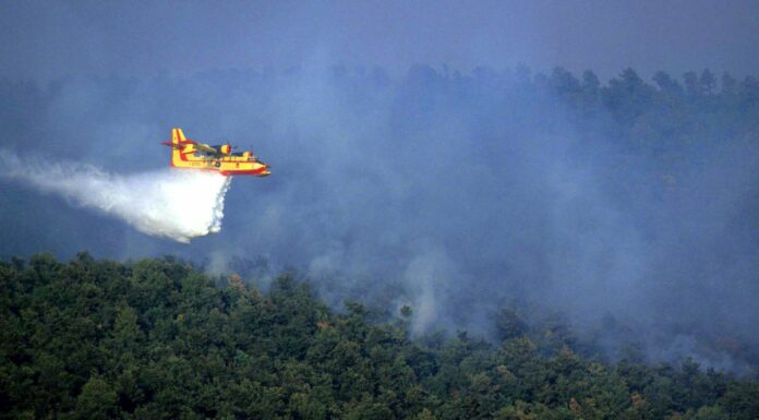 Conclusi corsi anticendio boschivo