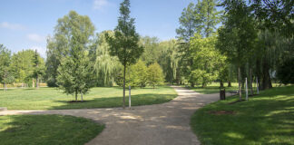 Emilia Romagna, “foreste” urbane per 37 Comuni di pianura